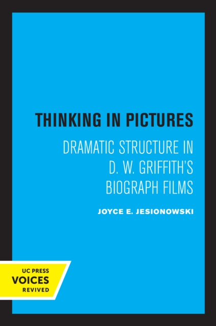 Thinking in Pictures