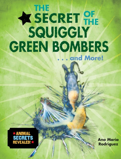 Secret of the Squiggly Green Bombers...and More!