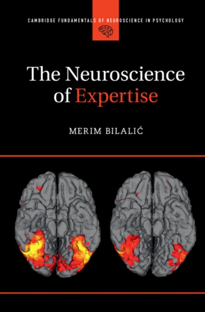 Neuroscience of Expertise