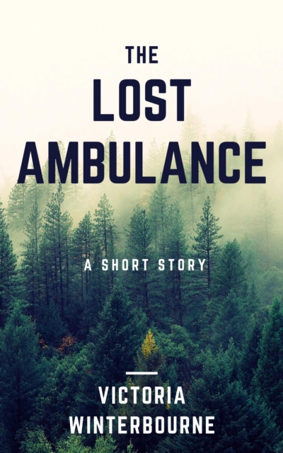 Lost Ambulance