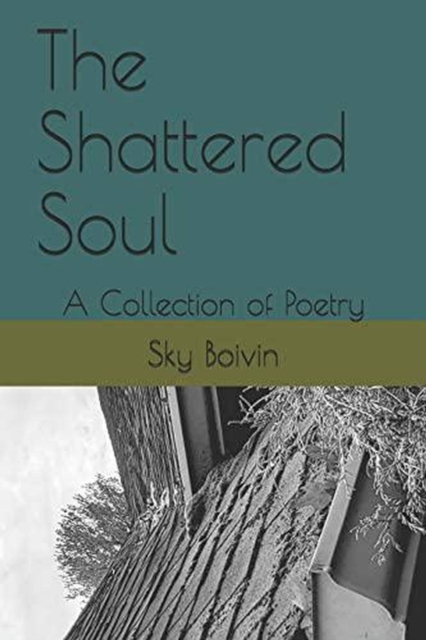 Shattered Soul