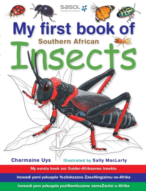 My First Book of Southern African Insects