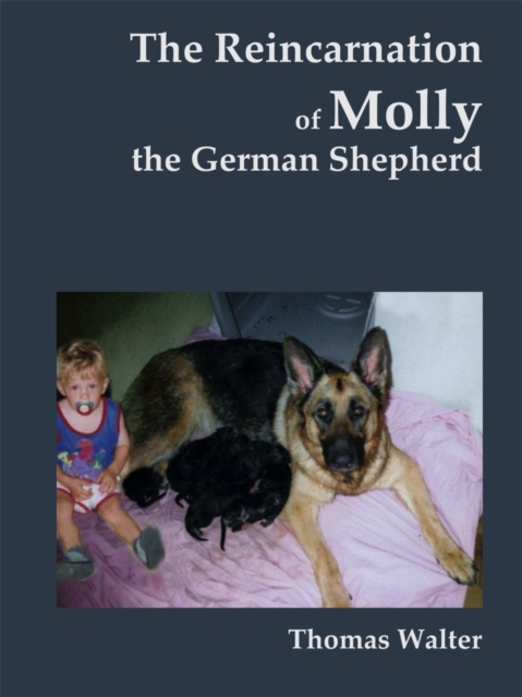reincarnation of Molly, the German Shepherd