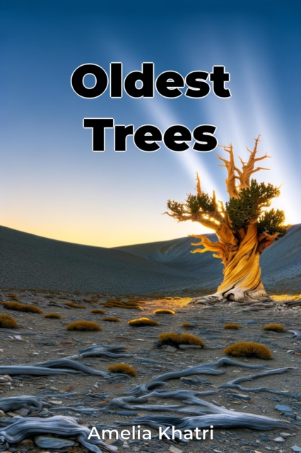 Oldest Trees