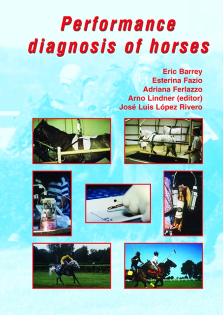 Performance Diagnosis of Horses