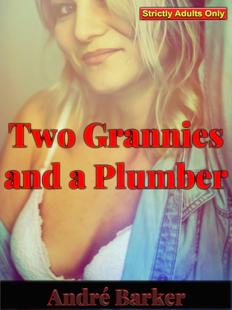 Two Grannies and a Plumber