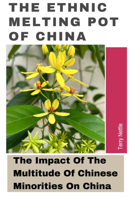 Ethnic Melting Pot Of China: The Impact Of The Multitude Of Chinese Minorities On China