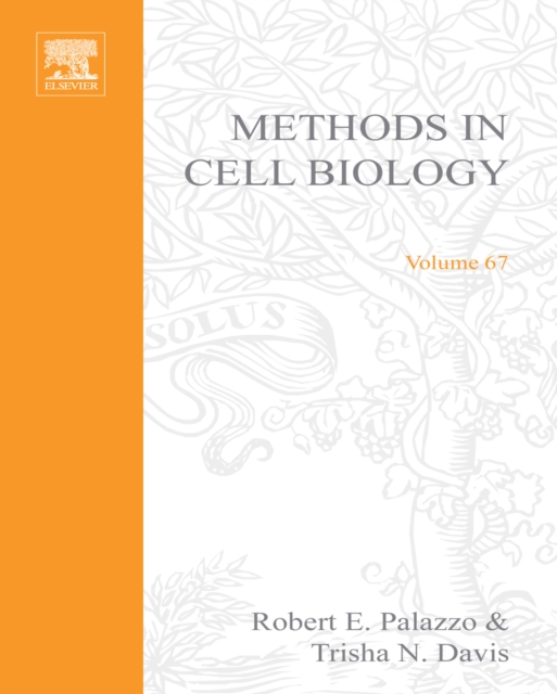 Centrosomes and Spindle Pole Bodies