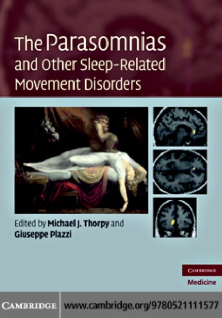 Mathematical Foundations and Biomechanics of the Digestive System