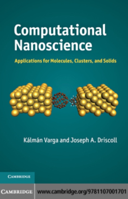 Computational Nanoscience
