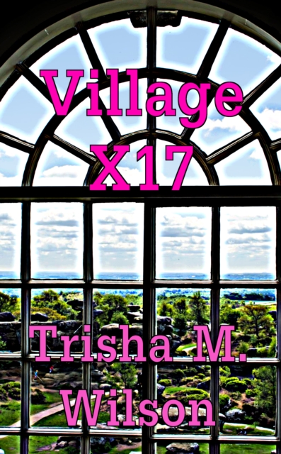 Village X17