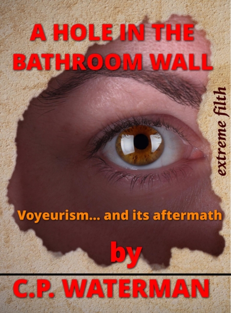Hole in the Bathroom Wall