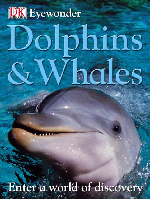Dolphins & Whales