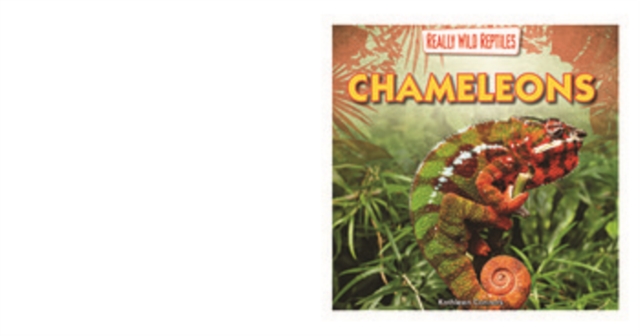 Chameleons