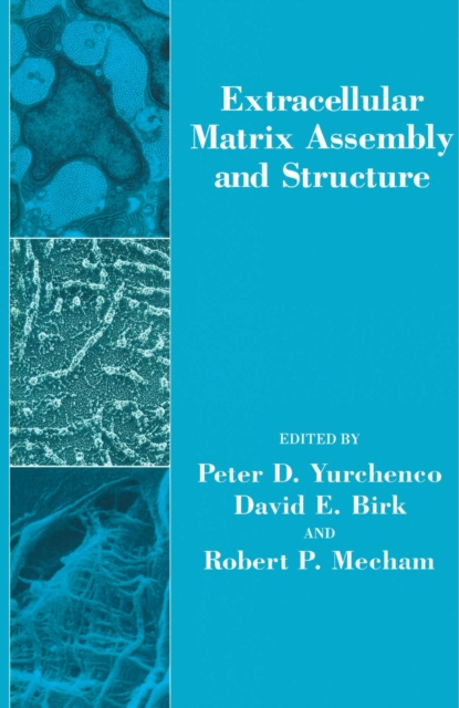 Finite Element and Finite Difference Methods in Electromagnetic Scattering