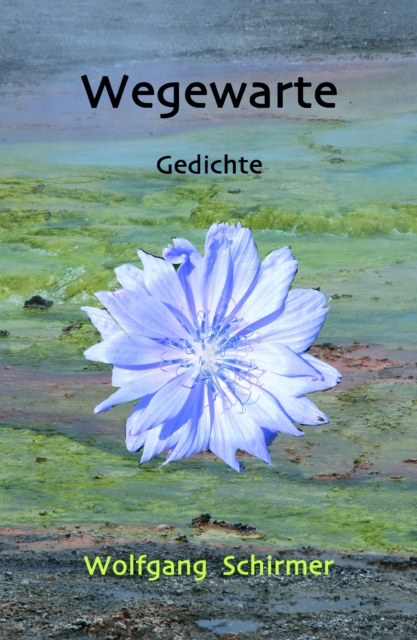 Wegewarte
