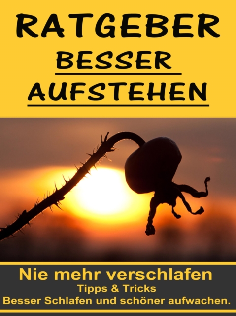 Ratgeber besser aufstehen - Besser Schlafen und schöner aufwachen.
