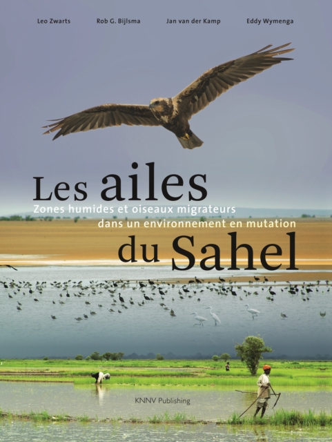 ailes du Sahel