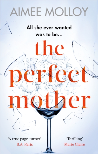Perfect Mother