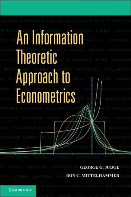 Information Theoretic Approach to Econometrics