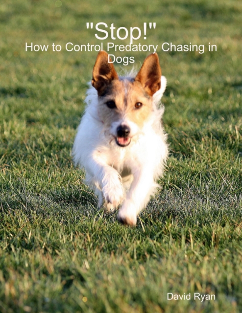 "e;Stop!"e;: How to Control Predatory Chasing in Dogs