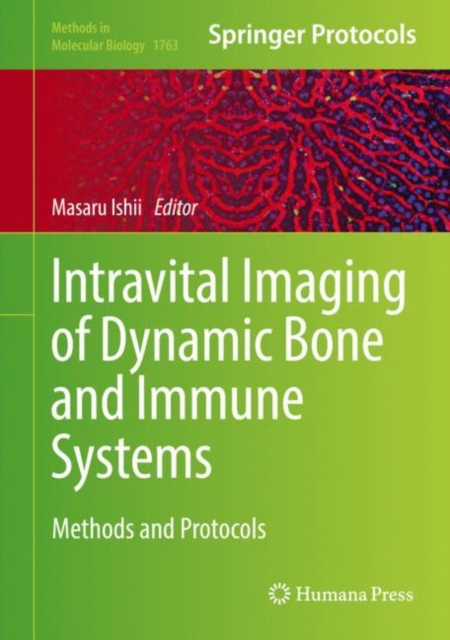 Intravital Imaging of Dynamic Bone and Immune Systems