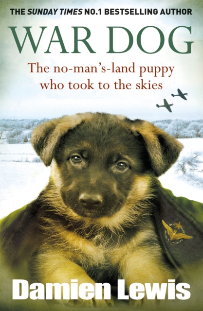 War Dog
