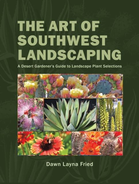 Art of Southwest Landscaping