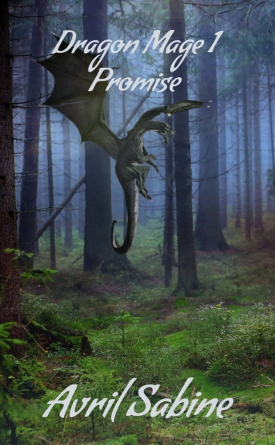 Dragon Mage 1: Promise