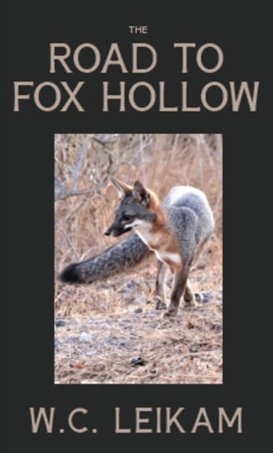 Road to Fox Hollow