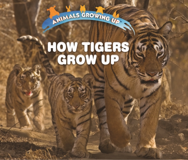 How Tigers Grow Up