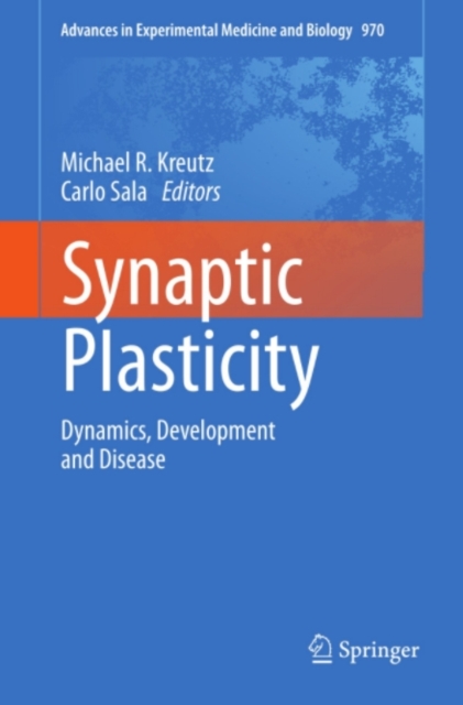 Synaptic Plasticity