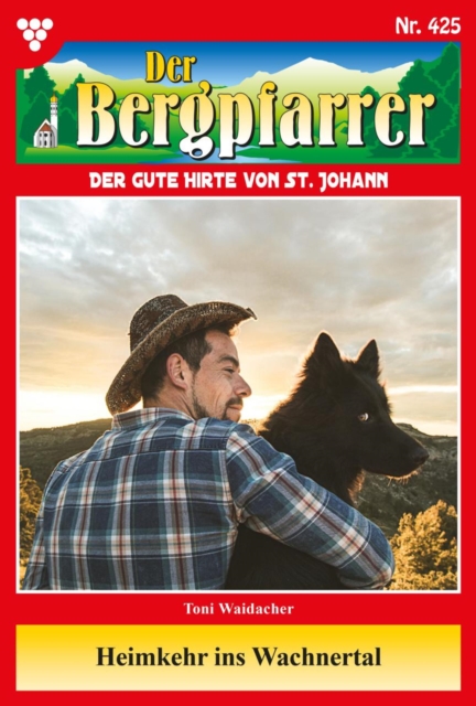 Der Bergpfarrer 425 – Heimatroman