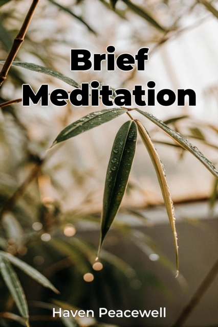 Brief Meditation