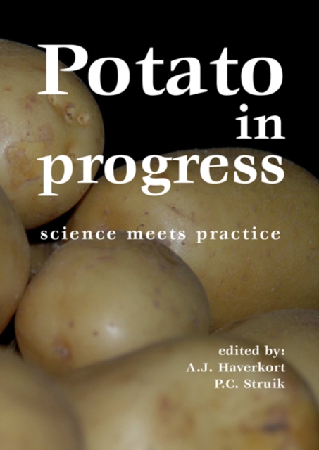Potato in progress