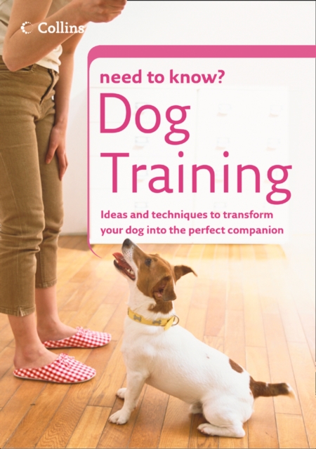 Dog Training