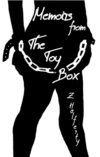 Memoirs From The Toy Box