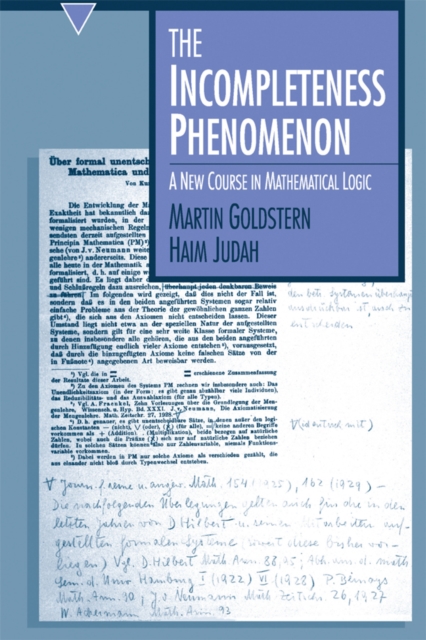 Incompleteness Phenomenon