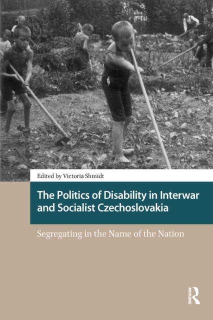 Politics of Disability in Interwar and Socialist Czechoslovakia