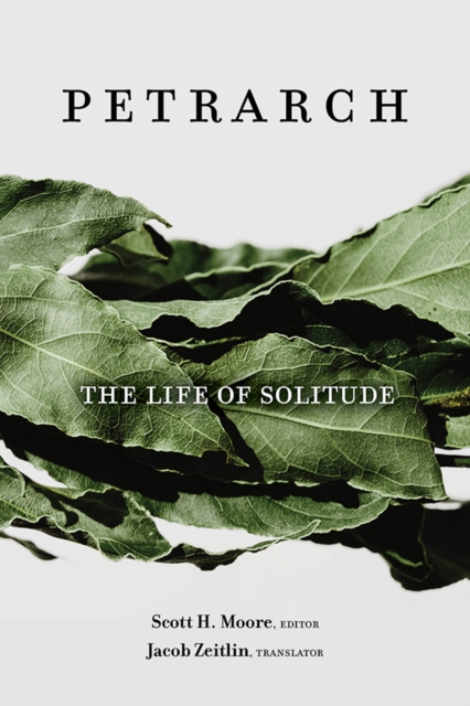 Life of Solitude