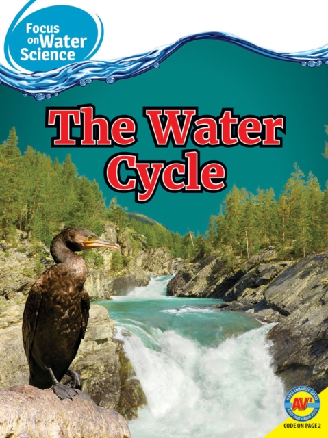 Water Cycle