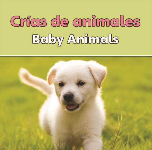 Crias de animales