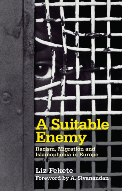 Suitable Enemy