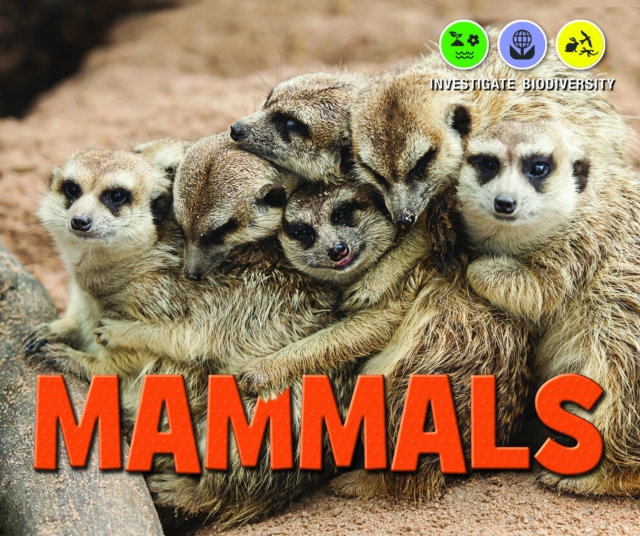 Mammals