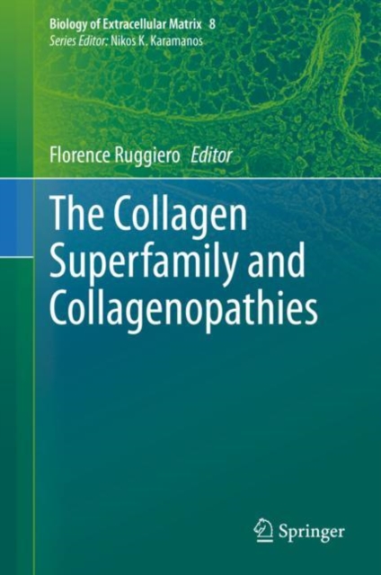 Collagen Superfamily and Collagenopathies
