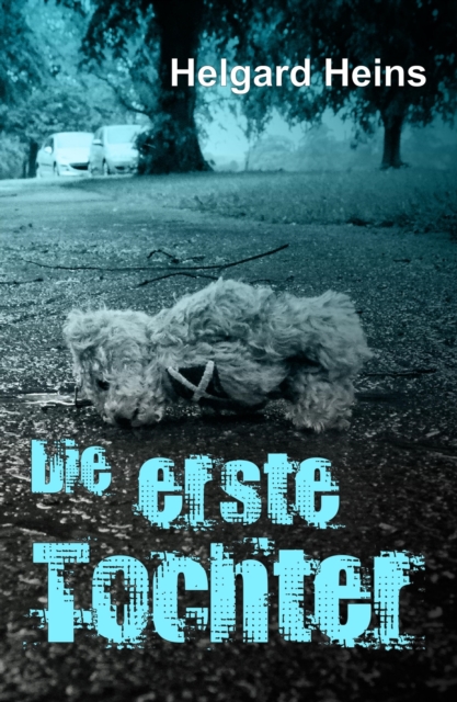 Der Weg zu einem höheren Bewusstsein