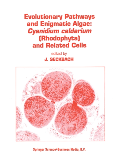 Evolutionary Pathways and Enigmatic Algae
