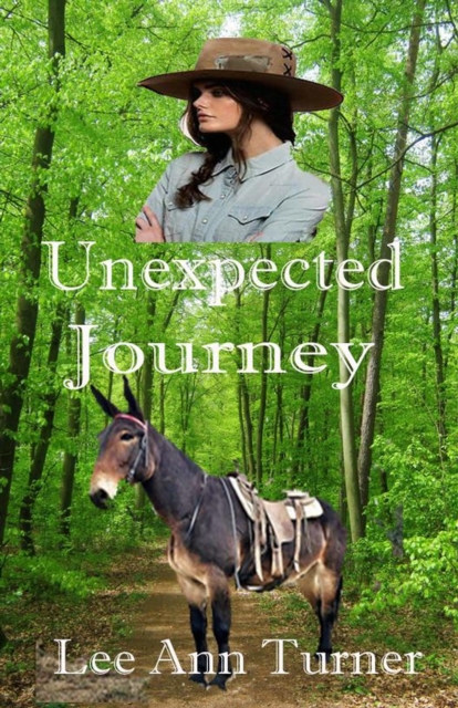 Unexpected Journey