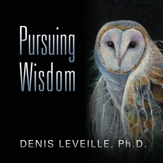 Pursuing Wisdom