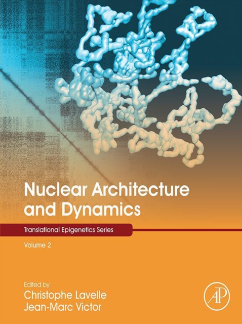 Nuclear Architecture and Dynamics